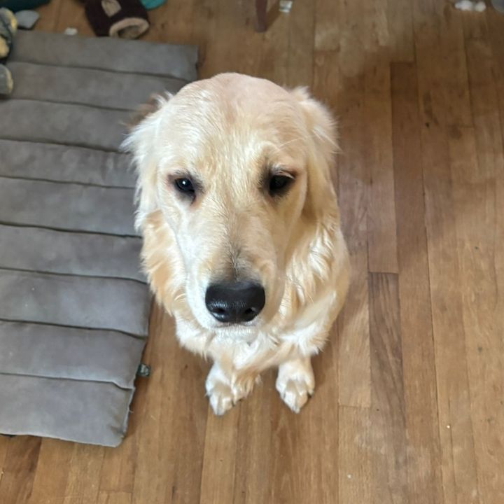 Profile Picture of Dannyandyuji (@daniel.koffron5) on Tiktok