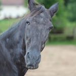 Profile Picture of Traber (@traber_tagebuch) on Instagram
