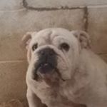 Profile Picture of Johnny Ray (@musserjohnny49) on Instagram