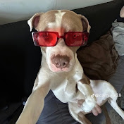 Isaiah Martinez - Youtube Profile Picture of Isaiah Martinez (@isaiahmartinez2612) on Youtube