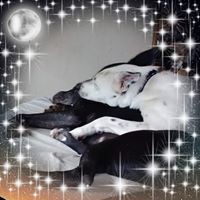 Profile Picture of Crystal Labree (@crystal-labree) on Quora