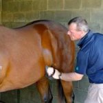 Profile Picture of Scott Holcombe (@scottholcombe) on Instagram