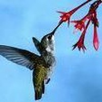 Profile Picture of Trudy Hayden (@trudy-hayden) on Quora