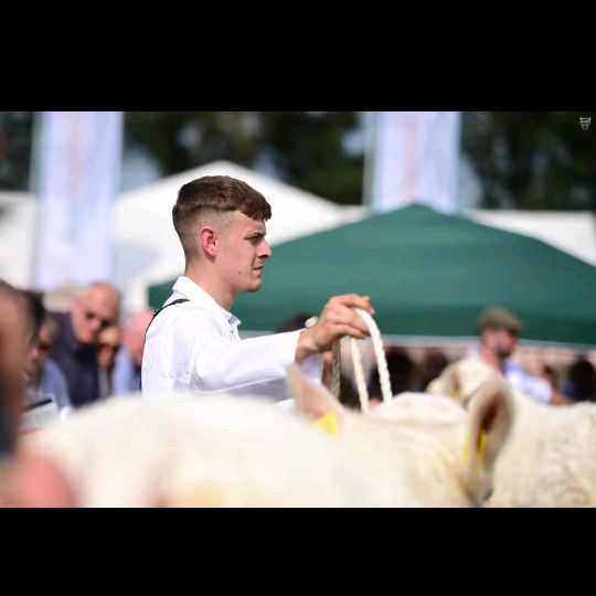 Profile Picture of Michael Hanifin (@michaelhanifin) on Tiktok