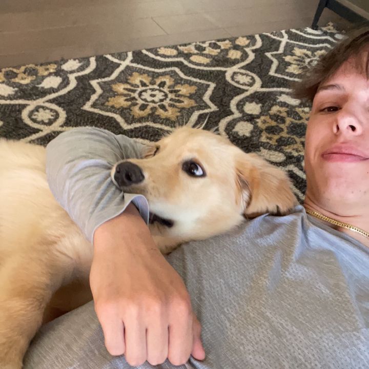 Profile Picture of markbraun (@markbraun8) on Tiktok