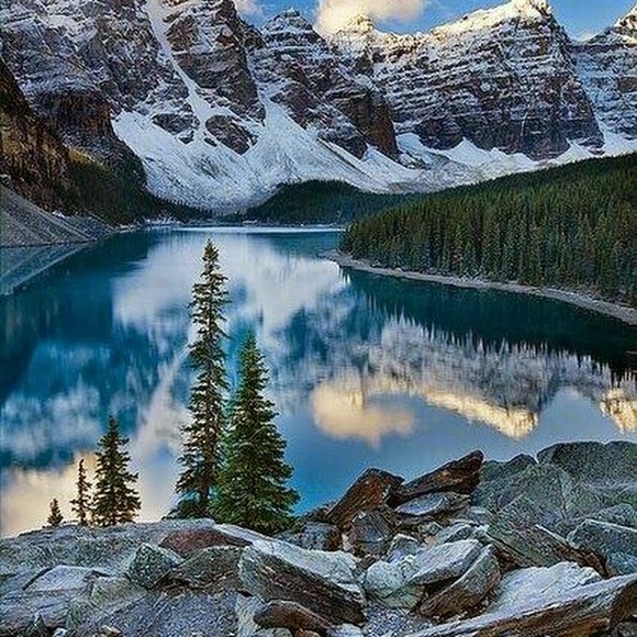 Profile Picture of Amy Dornbush (@savyshopper42) on Poshmark