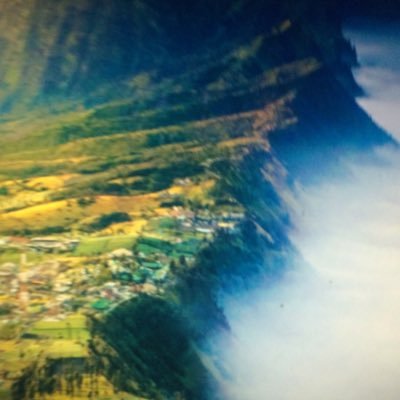 Profile Picture of Trevor Lee Albrecht (@Trevor2lee) on Twitter