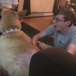 Profile Picture of Andrew Steinberg (@andrew.dinkleberg) on Instagram