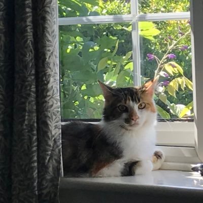 Profile Picture of Chris Willmore (@chriswillmore) on Twitter