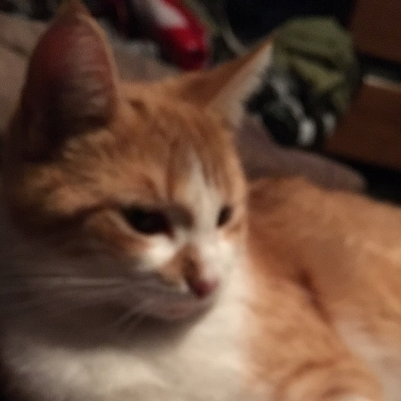 Profile Picture of Kate Potter (@hazie321) on Poshmark