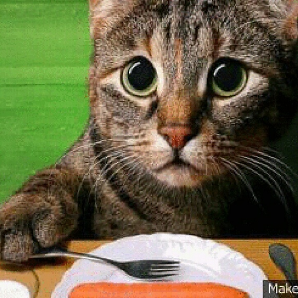 Profile Picture of Laure Schutze (@dizzyyaya87) on Poshmark