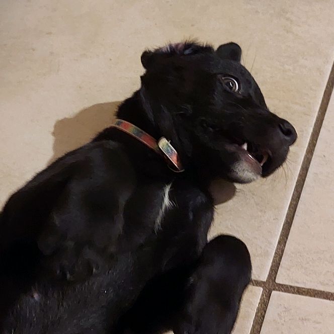 Profile Picture of gimbel (@gimbel_) on Tiktok