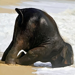 Profile Picture of Todd Bailey (@replacethegop) on Flickr
