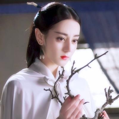 Profile Picture of Bai Feng Jiu (@BaiFengJiu3) on Twitter