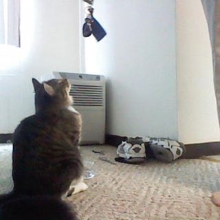 Profile Picture of Gambit SilverKerman (@gambit.silverkerman) on Facebook