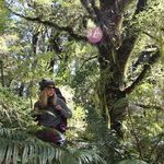Profile Picture of Megan Peffer (Phelps) (@peffermeganm) on Instagram