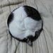 Profile Picture of William Mark (@newmarkland) on Pinterest
