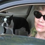 Profile Picture of Kay Kowanko (@kaykowanko) on Instagram