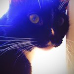 Profile Picture of Alex👍 (@a_cardiel_photography) on Instagram