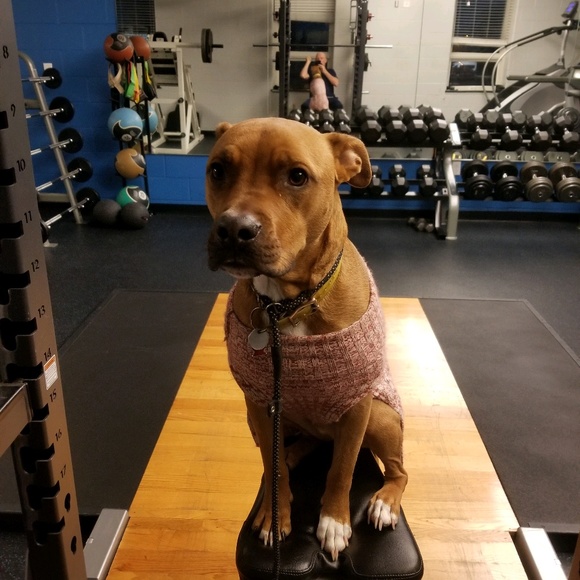 Profile Picture of Robert Murray (@pipeman231) on Poshmark