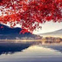 Profile Picture of Viola George (@viola-george-5) on Quora