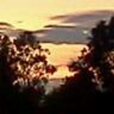 Profile Picture of Chris Rakestraw (@MushrooomMan) on Twitter