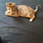 Profile Picture of Josefa Pache (@josefapache) on Instagram