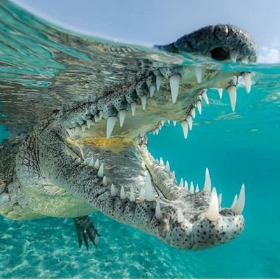 Profile Picture of David LaDuke (@DavidLaDuke1) on Twitter