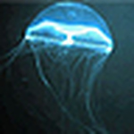 Profile Picture of Joshua Seevers (@joshua m. seevers) on Flickr