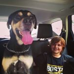 Profile Picture of David Cinquegrano (@david_cinquegrano) on Instagram