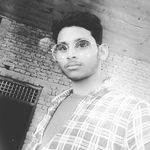 Profile Picture of Jiddi Lover Brand tiger (@jiddi.lover.brand.tiger) on Instagram