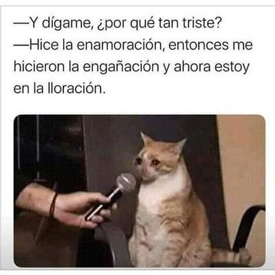 Profile Picture of Daniel Chicas (@Daniel45740873) on Twitter