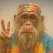 Profile Picture of Mike Bock (@harmonybendhomestead1738) on Youtube