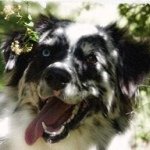 Profile Picture of Corine Graham (@corine.graham) on Instagram