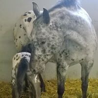 Cindy Wilinski - Quora Profile Picture of Cindy Wilinski (@cindy-wilinski) on Quora