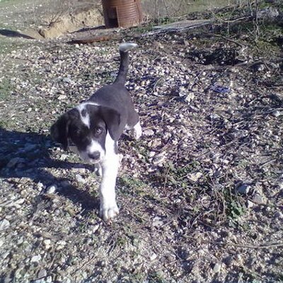 Profile Picture of Lola González Arroyo (@LolaLuna69) on Twitter