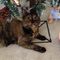 Profile Picture of Robin Guard (@robin.guard.735) on Facebook