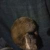 Profile Picture of brianblindheim (@@brianblindheim) on Tiktok