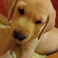 Profile Picture of Steve Quinn (@steve-quinn-74) on Quora