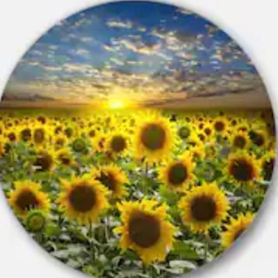 Profile Picture of angela enyeart (@angelakissesu) on Twitter