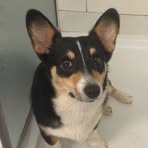 Profile Picture of Kala Watters (@Kala-Watters) on Facebook