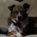 Profile Picture of Greg Starcher (@greg.starcher.9) on Facebook