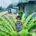 Profile Picture of Marco Batua (@marco.batua.54) on Facebook