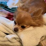 Profile Picture of Jack (@kim_haight) on Instagram