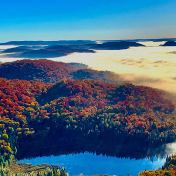 Profile Picture of David Pelletier (@davidpelleti787) on Poshmark