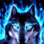Profile Picture of Clint Wolf (@cwolf0577) on Instagram