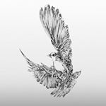 Profile Picture of Thomas Martines (@martinesthom) on Instagram