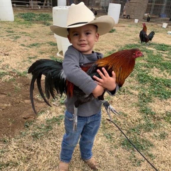 Profile Picture of Luis Olivares (@luisolivares158) on Poshmark