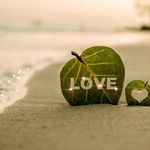 Profile Picture of alexalejos (@alexomaralejos) on Instagram