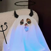 Profile Picture of Paula Rivero (@paularivero9654) on Youtube